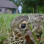 Farm stay Osada Lesna Puszcza Notecka *