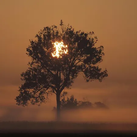 Osada Lesna Puszcza Notecka Farm stay Bebnikat