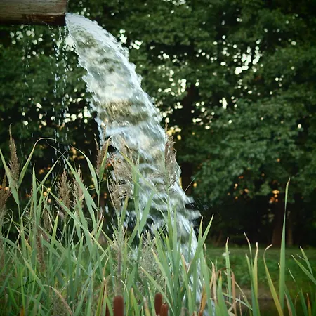 Osada Lesna Puszcza Notecka Bebnikat