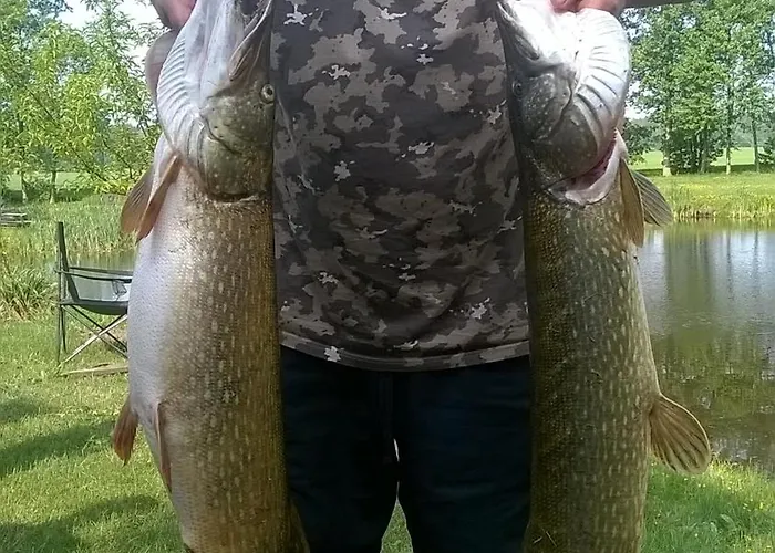 Osada Lesna Puszcza Notecka Farm stay *