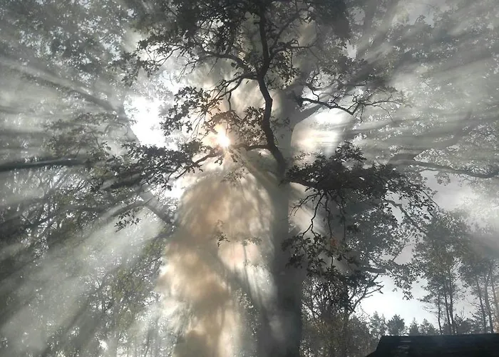 Osada Lesna Puszcza Notecka * Bebnikat