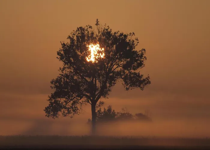Osada Lesna Puszcza Notecka Farm stay Bebnikat