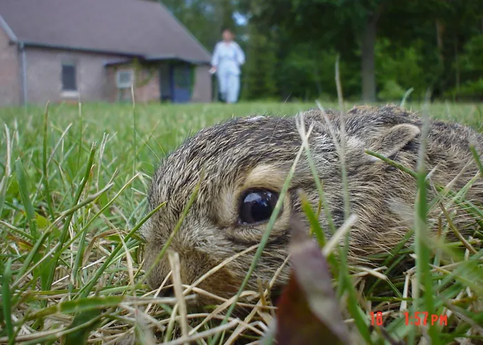 Farm stay Osada Lesna Puszcza Notecka *